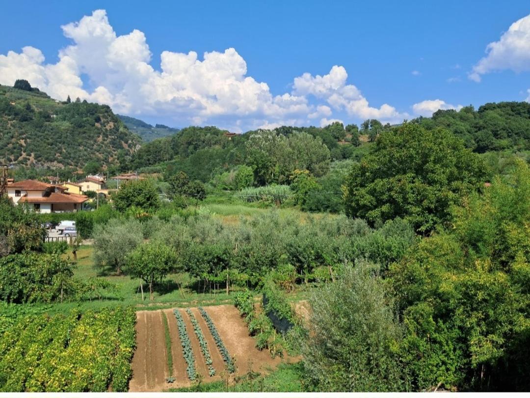 Appartement La Locanda Di Nonna Jolanda à Borgo a Mozzano Extérieur photo